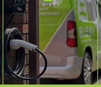 WhatsApp Image 2026-03-25 at 4.26.26 PM (1)