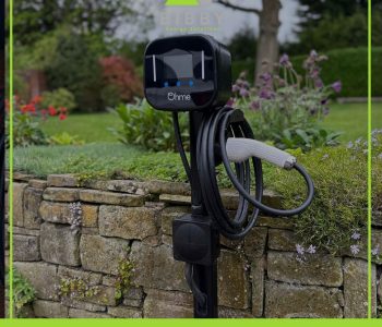 WhatsApp Image 2026-03-25 at 4.26.27 PM (2)